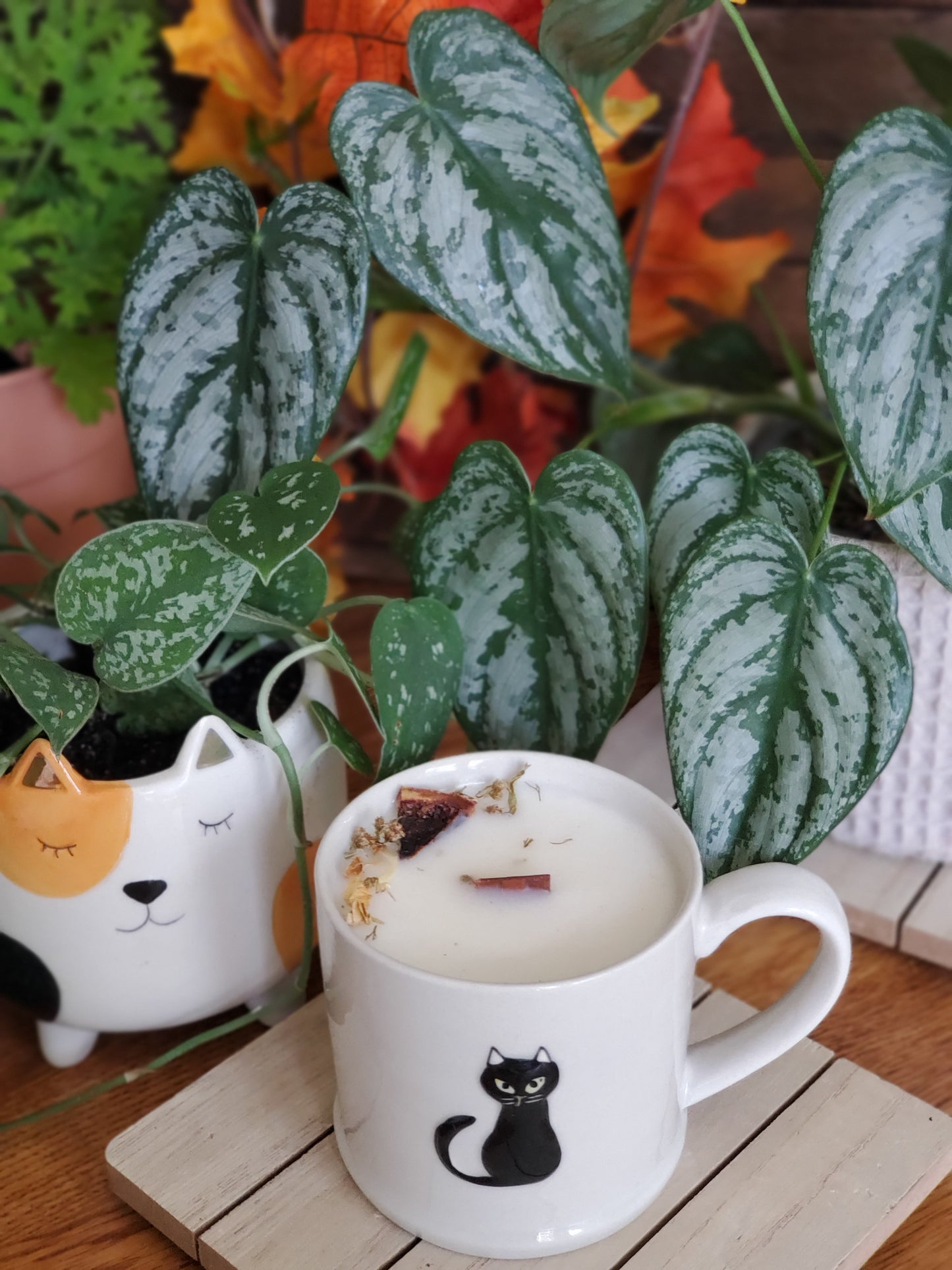 Tasse Bergamote & feuille d'olivier